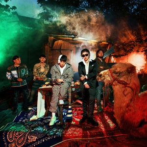 商城专业小鲤导航
