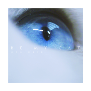 商城专业小鲤导航
