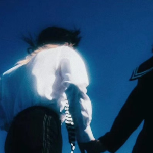 商城专业小鲤导航
